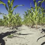 中国ChineseBoyfriendTV 12cmq09