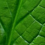 欧美ZOOZZOOZ视频 2vh0n3y69