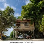 欧美vivoesotv 40rlbpr