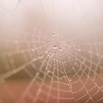 啦啦啦视频在线播放 7cym4v5p6