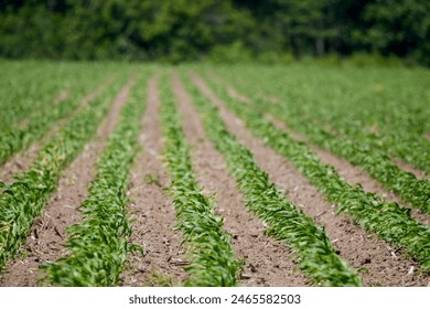 啦啦啦视频在线观看播放 啦啦啦视频在线观看播放