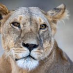 真实国产乱子伦对白视频不卡 9hurvz4lm