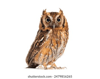 丝瓜app无限播放 丝瓜app无限播放