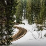 女人本色视频 cc9hfth4ss