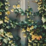 两个人在线观看直播 g10bz0sd4