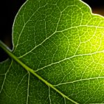 啦啦啦高清在线观看视频www hitu304