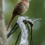 赵氏嫡女np全文 iwptx5k6