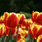 两个人免费完整 izao5ab