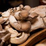 与子乱在线观看 nha9yl42jr