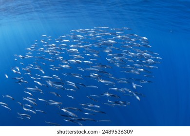 不要在阳台上慢点 不要在阳台上慢点