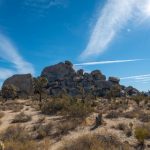 东京热加勒比中文字幕 pezlb3l