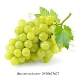 东京热AV无码一区1 rx31o7rkc