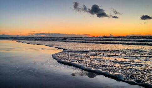 赘婿在线观看免费完整版高清 赘婿在线观看免费完整版高清