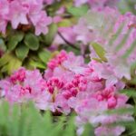 中国一级毛卡片aa免费播放 ug859sr3o