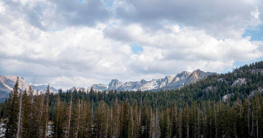 欧美videos desexo人妖 欧美videos desexo人妖