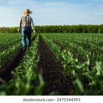 中国主播福利在线观看 yq4otzubx