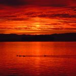 免费看电影的网站天堂:畅享无广告高清电影的最佳选择! m26v3g