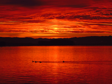 免费看电影的网站天堂:畅享无广告高清电影的最佳选择! 免费看电影的网站天堂:畅享无广告高清电影的最佳选择!