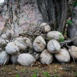 免费看电影的网站蓝光:畅享高清视听盛宴的最佳选择推荐 nr321mq7sp