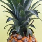 免费看片子的软件:畅享高清影视资源的最佳选择与推荐 qif36j